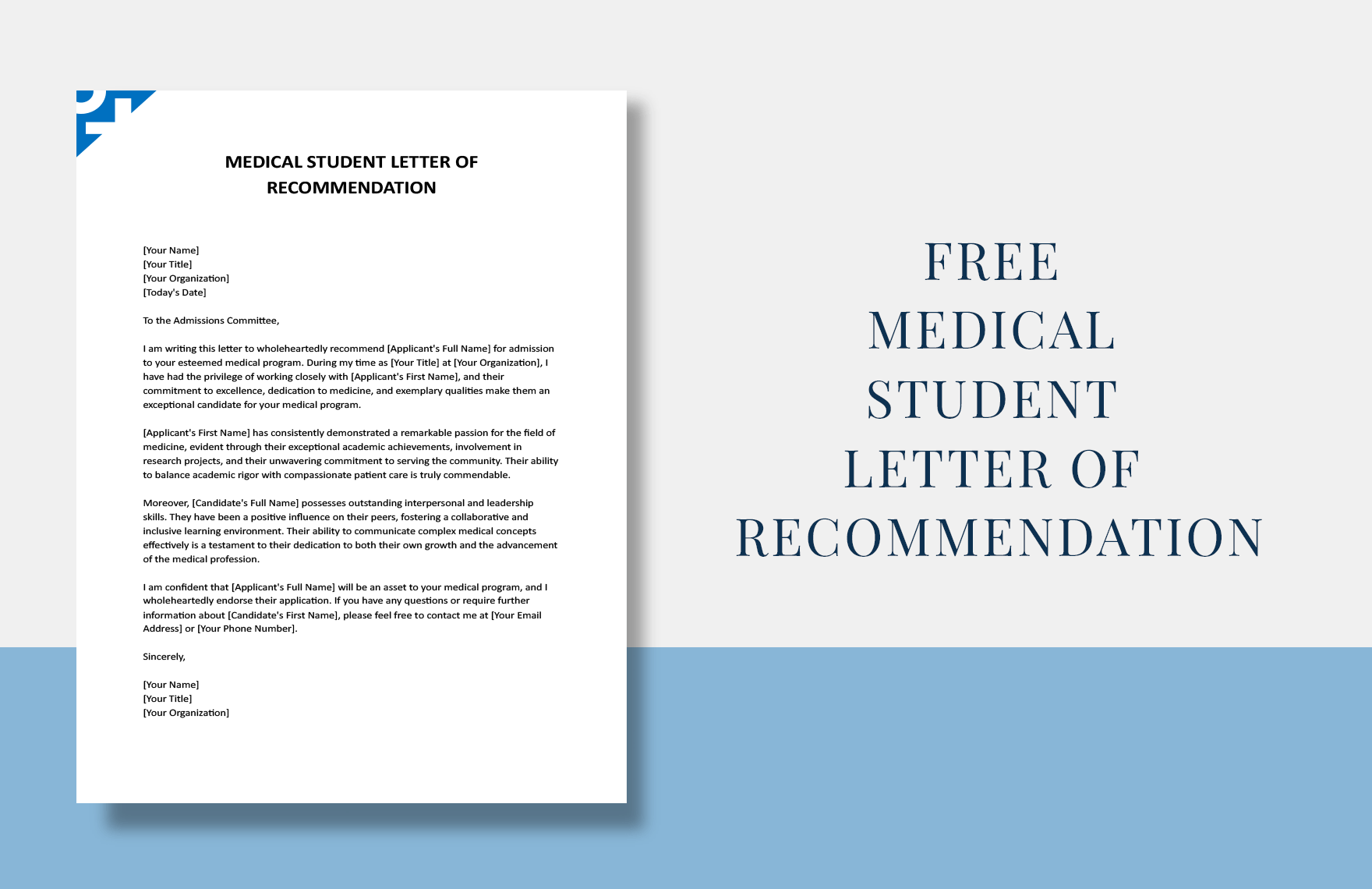 How To Write Recommendation Letter For Research Student