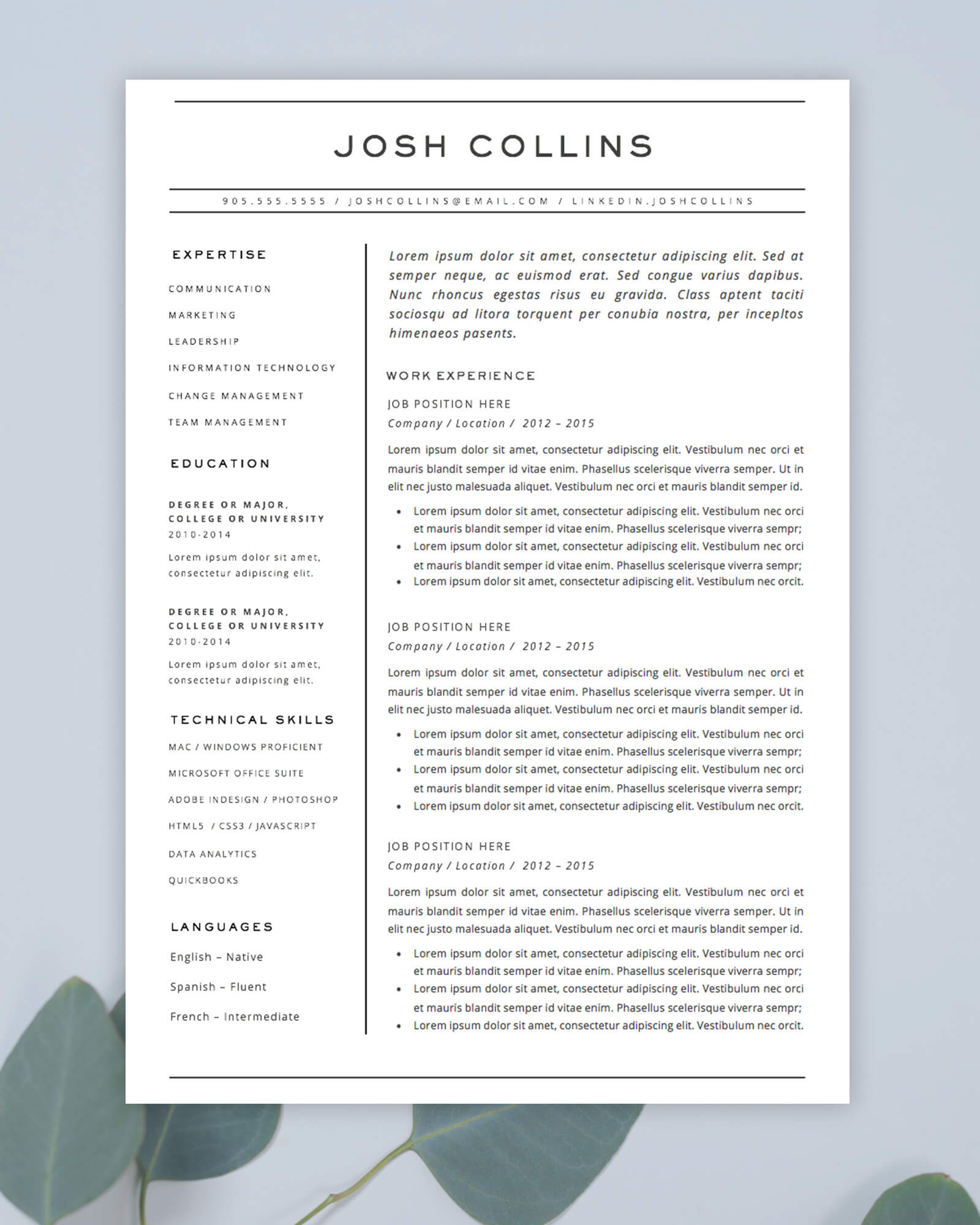 Resume Template For Microsoft Word