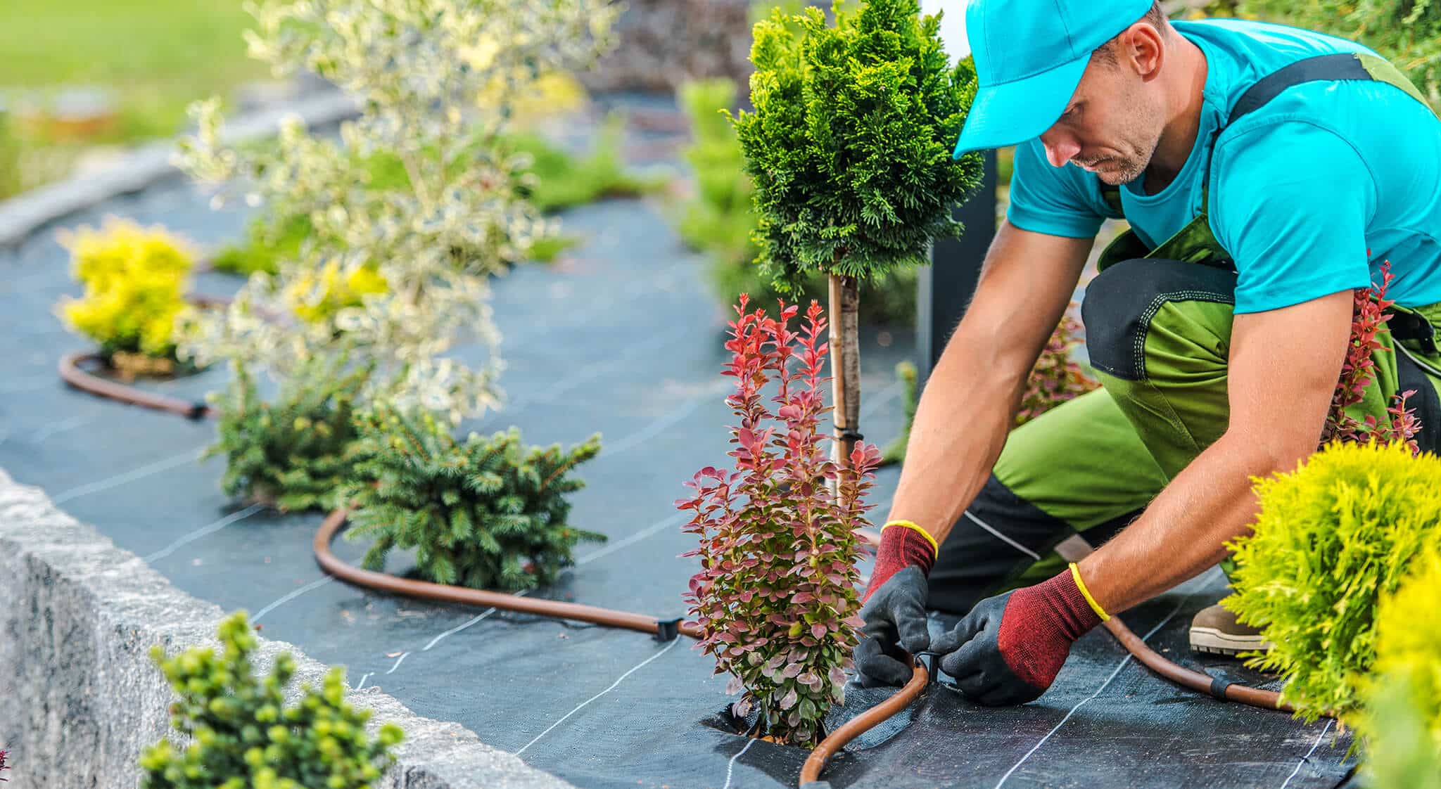 Start Your Own Landscaping Business