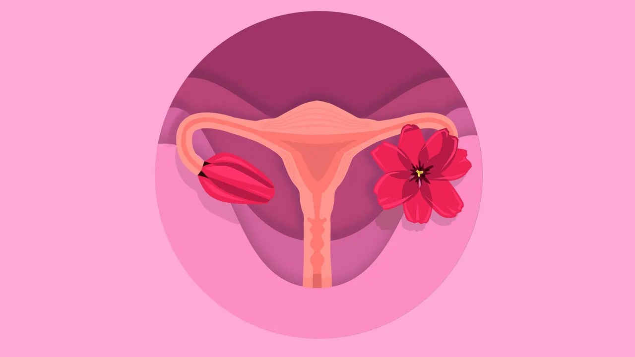 How Can You Tell If Ovulating