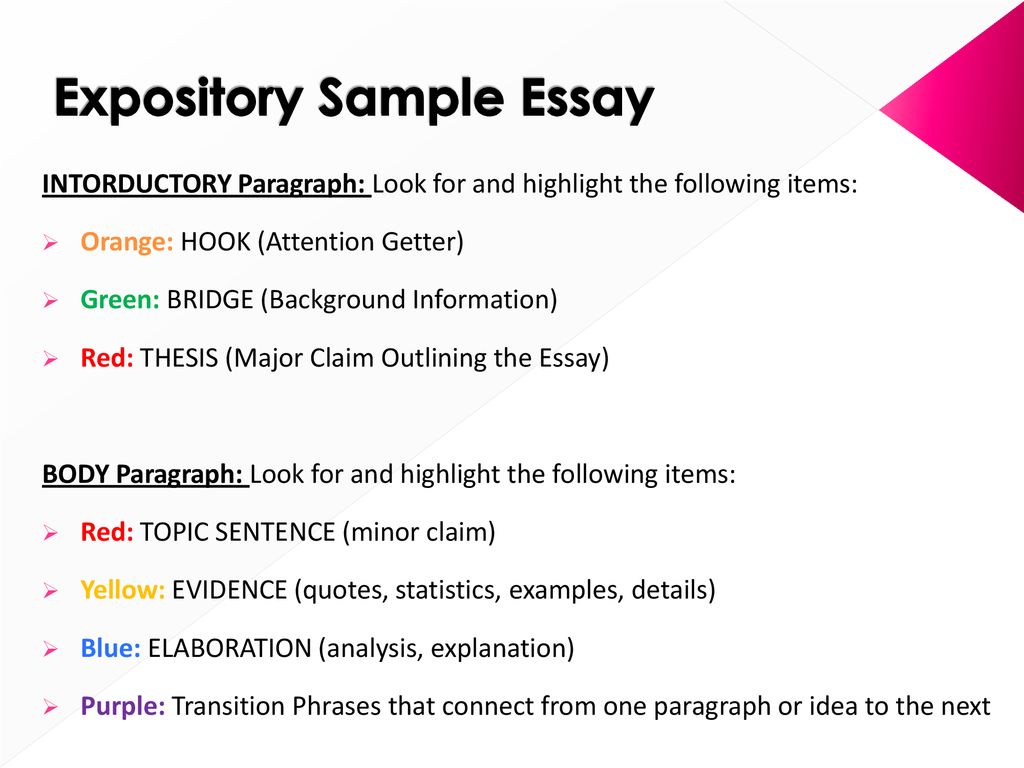 How To Write A Expository Essay Example