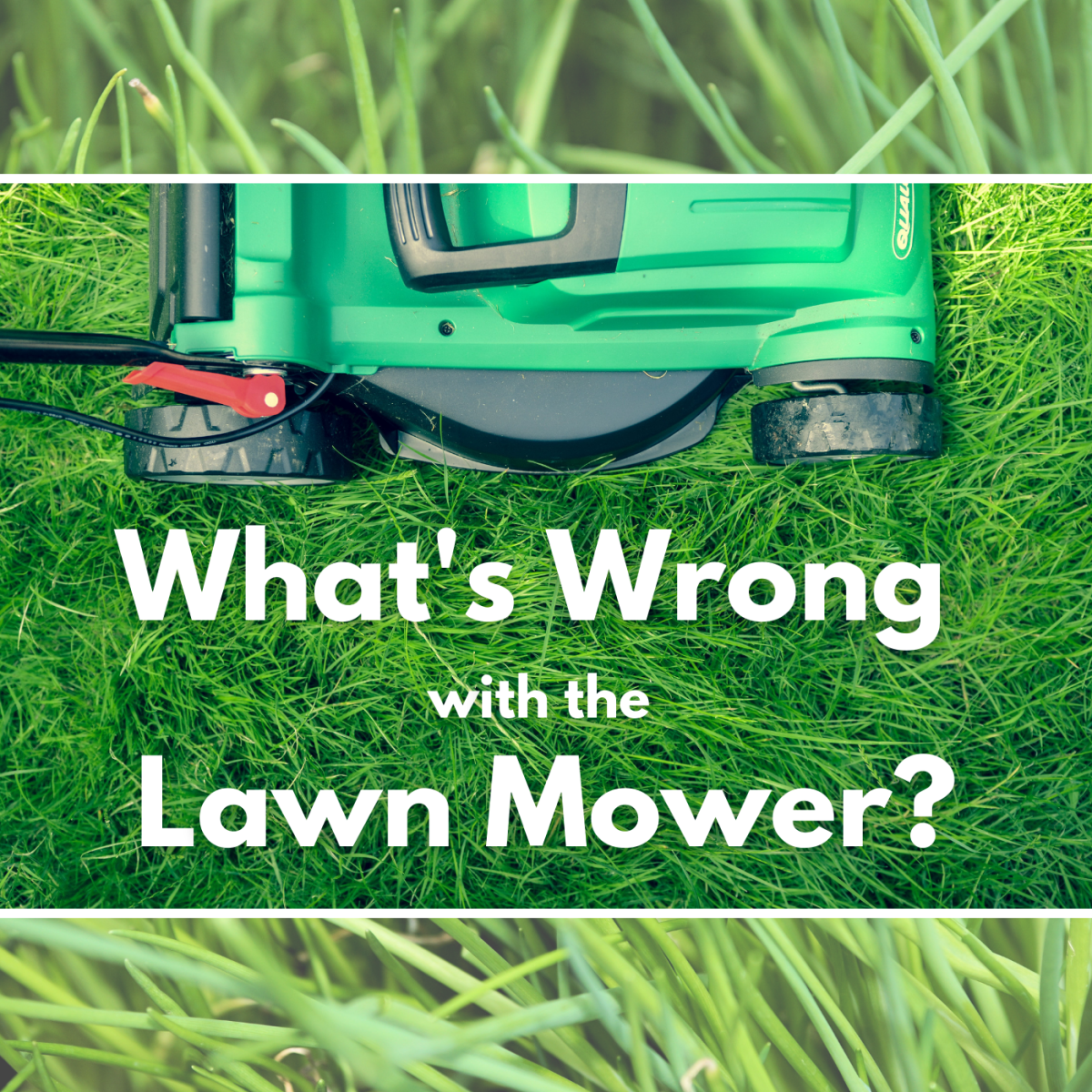Starting A Lawn From Scratch